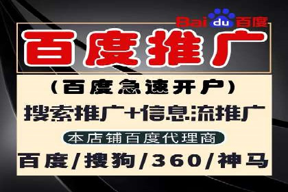 行业趋势下的SEM竞价代运营策略及成功实例